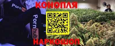mdpv Краснодар