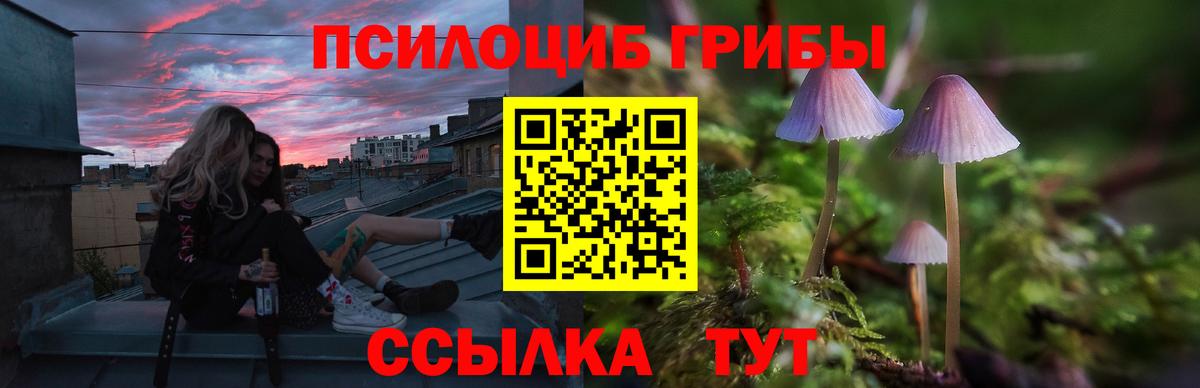 Псилоцибиновые грибы мухоморы Таганрог